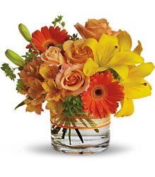 Sunny Siesta from Metropolitan Plant & Flower Exchange, local NJ florist
